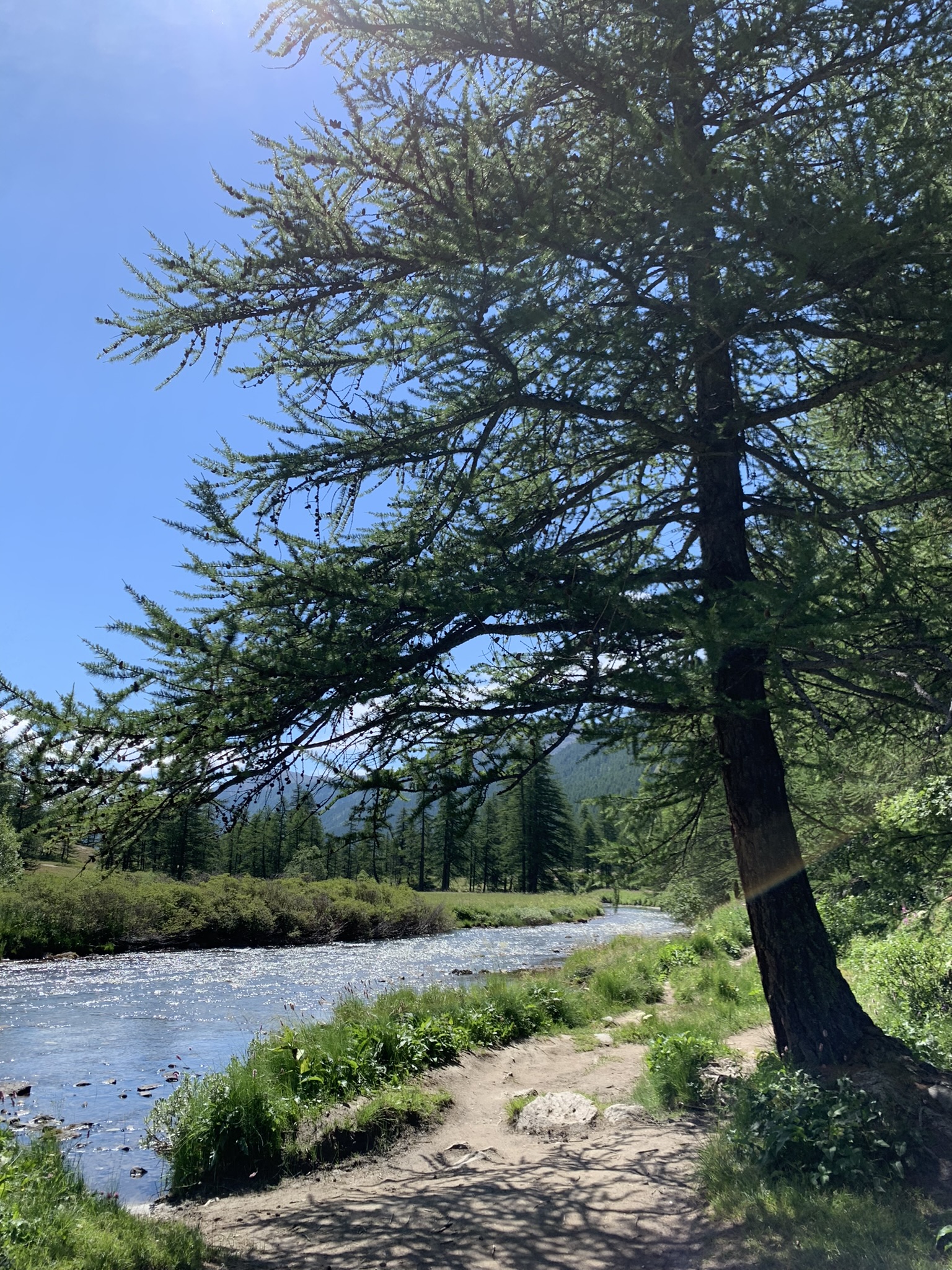 Alongside the river La Clarée